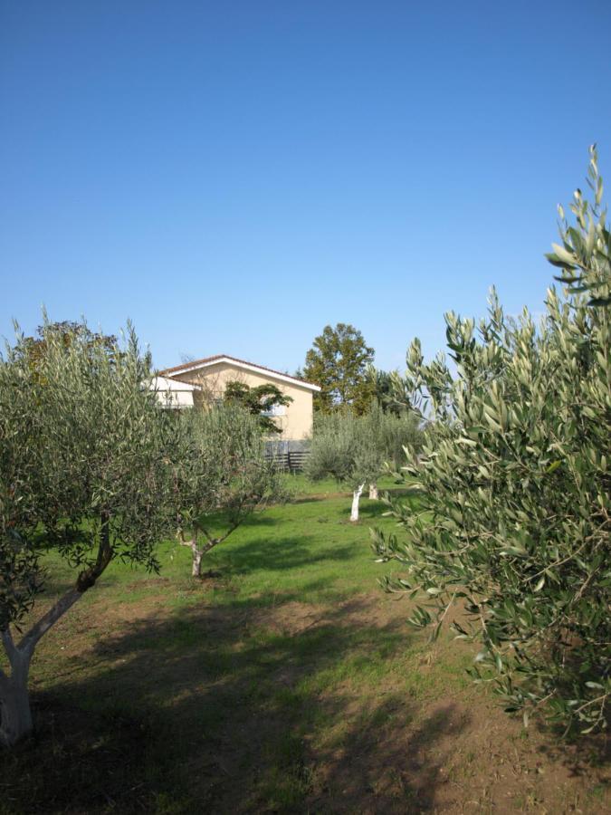 Παληοκτημα - Palioktima 2 Neon Rysion Exterior foto